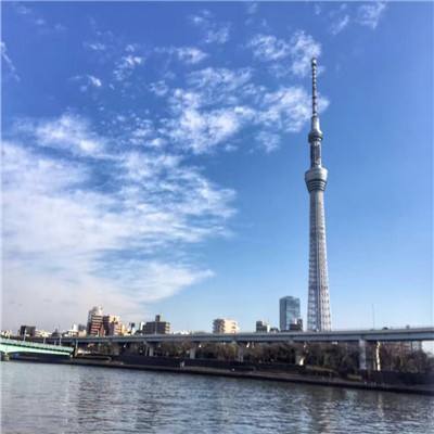 乱世萌将团手游下载